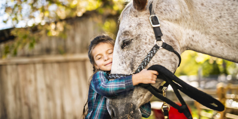 Equine Therapy