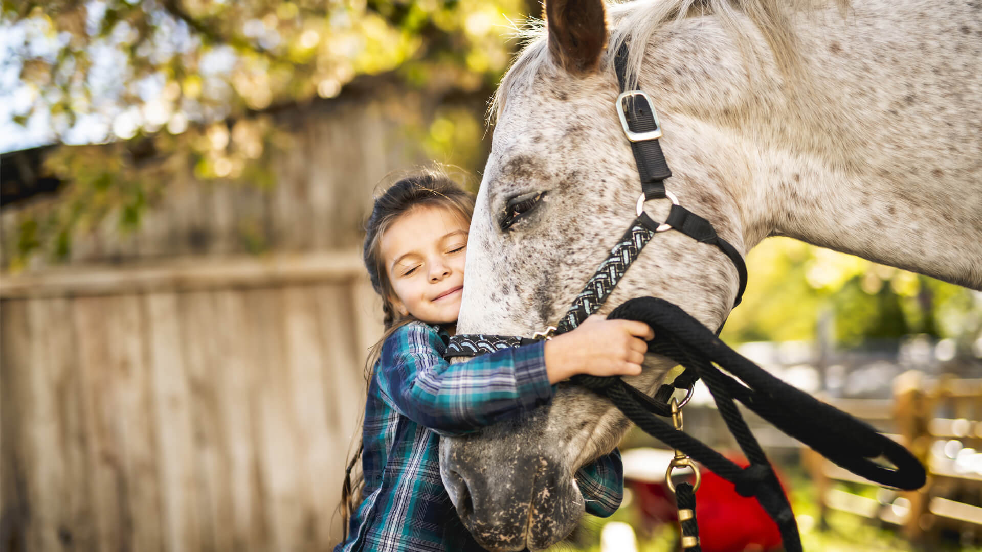 Equine Therapy Acorns to Oak Trees